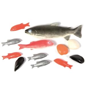 12 plastic fish models of different sizes