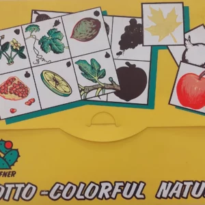 educational lotto colorful nature set