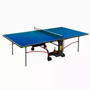 ping pong table