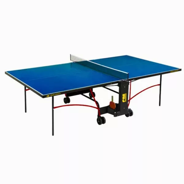 ping pong table